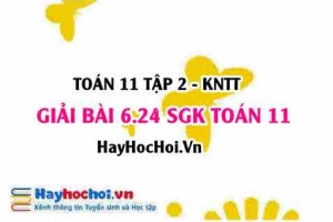 Bài 6.24 SGK Toán 11 Tập 2 Kết nối tri thức